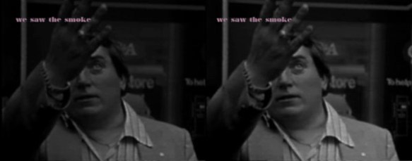 Elizabeth Price The Woolworths Choir of 1979 2012 - we saw the smoke