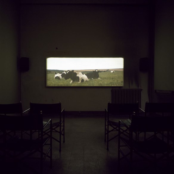 Dean Banewl 1999 installation