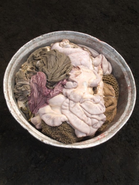 Alex Van Gelder, Meat Portraits #37, 2012