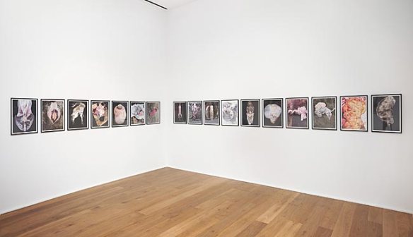 Alex Van Gelder, Meat Portraits at Hauser and Wirth, 2014