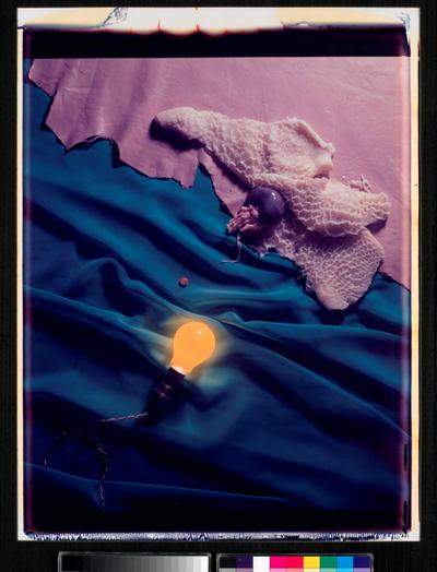 Helen Chadwick, Meat Abstract #2, 1989