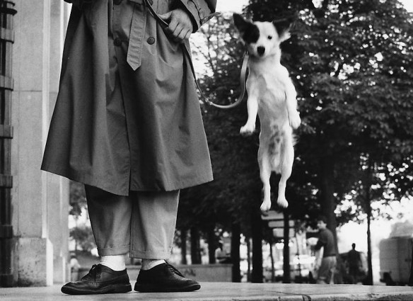 Erwitt Paris 1989