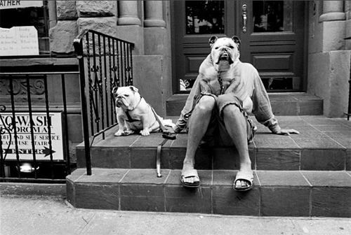 Erwitt USA NYC