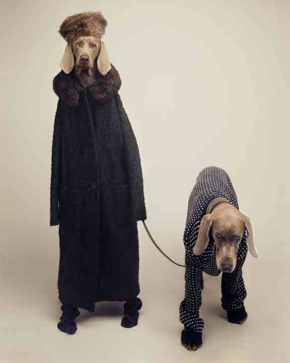 Wegman Dog Walker 1990