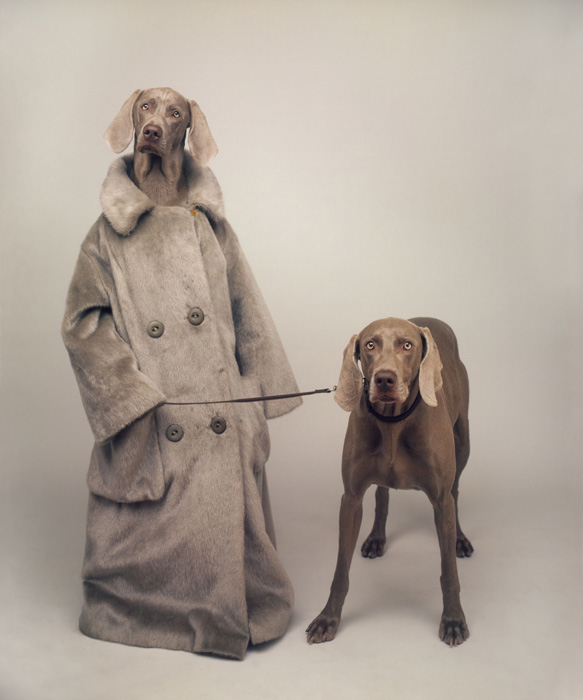 Wegman Dog Walker 1990