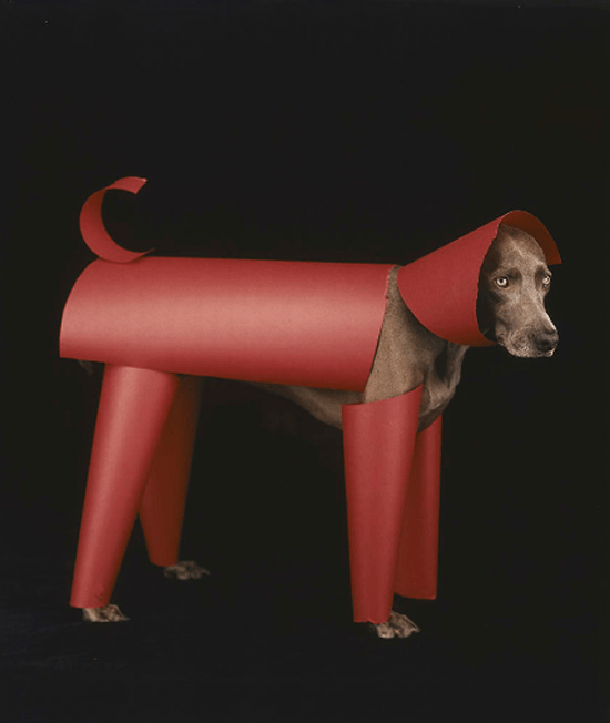 Wegman Red Toy 2006