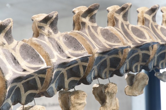 Gabriel Orozco, Dark Wave, 2006 (detail)