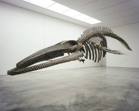 Gabriel Orozco, Dark Wave, 2006